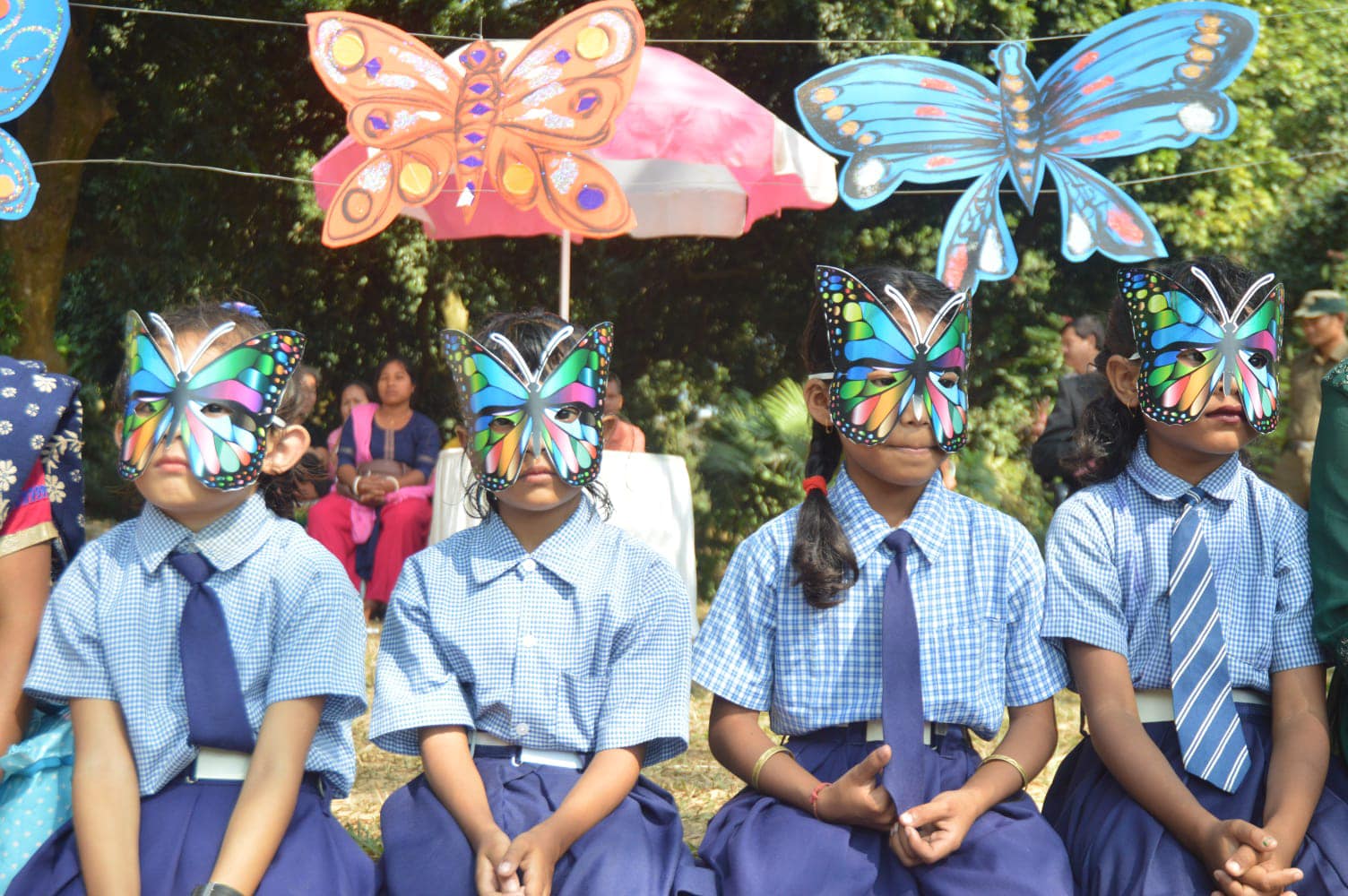 Butterfly-Festival-Tripura-solar-panel