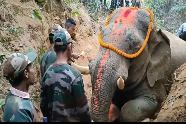 Critically-wounded-train-hit-elephant-in-Tripura-succumbs-to-injuries