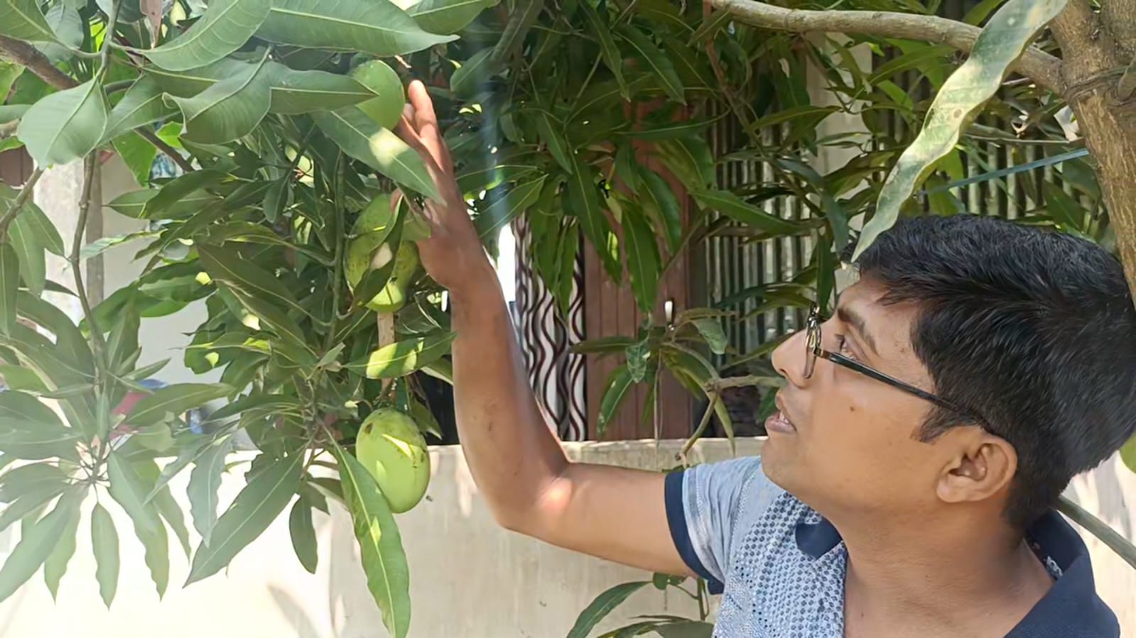 Mango-Man-Tripura-entrepreneur 