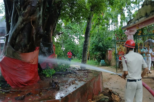 Lightning-strikes-banyan-tree-Tripura