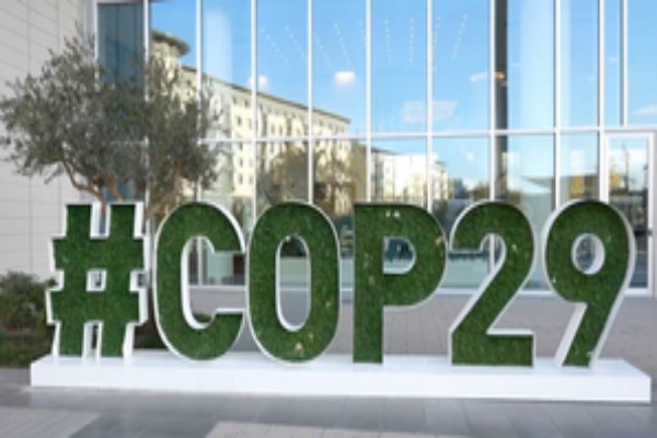 COP29