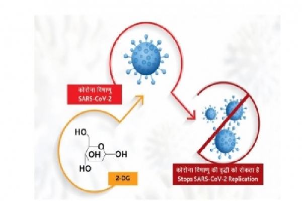 drdos anti-covid drug 2-dg launched