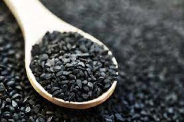 health news kalonji may help in treatment for covid-19 infection study