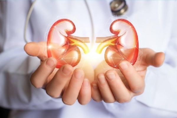 australian researchers discover key driver of kidney disease