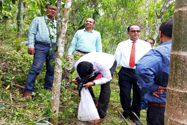 govt to encourage new orange orchards expert team visits jampui hills