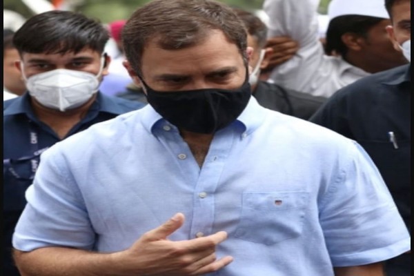 rahul gandhi reaches ed headquarters for 5th day