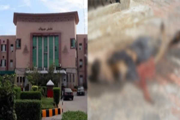 pak in shock after scores of rotting corpses found on hospitals roof