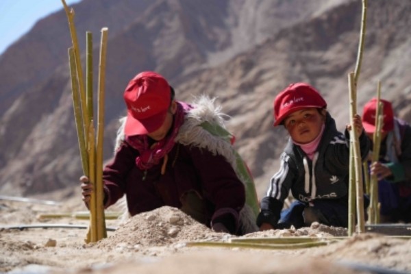 Hollywood icon Susan Sarandon commends volunteers for planting over 100k saplings in Ladakh