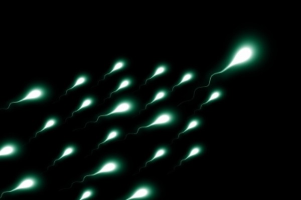 why some men do not produce enough sperm new study provides answers