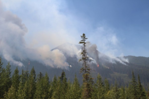 canadian wildfire crisis massive wildfire in british columbia forces mass evacuation