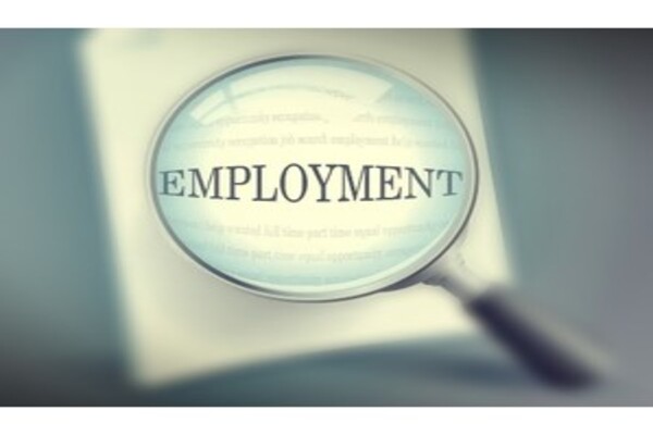 economic survey 2023-24 unemployment rate drops to 3-2pc job market shows steady improvement