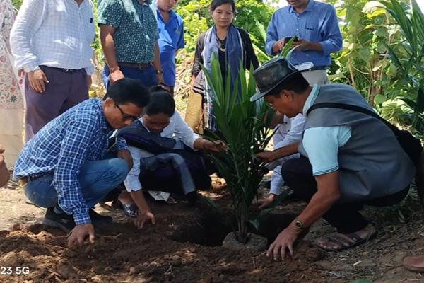 tripura news state govt steps up palm oil cultiva---