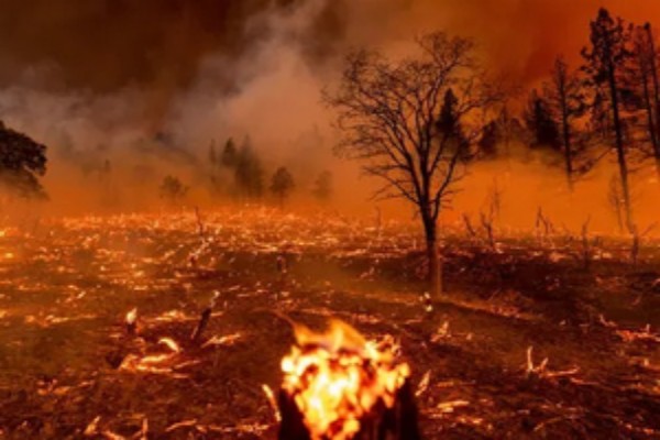 fueled by heat and drought dangerous wildfires sweep through california and idaho