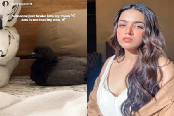 wamiqa gabbi gets a winged visitor says someone b---