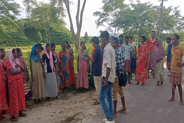 120-year-old hirachara tea garden in tripura workers allege wage denial and harassment by management