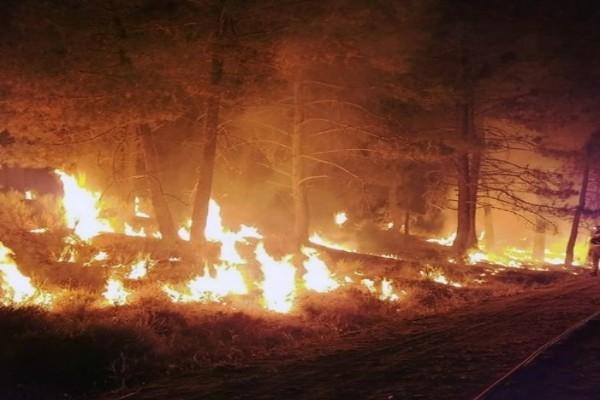 los angeles wildfires claim 11 lives as rescue operations continue amid devastation