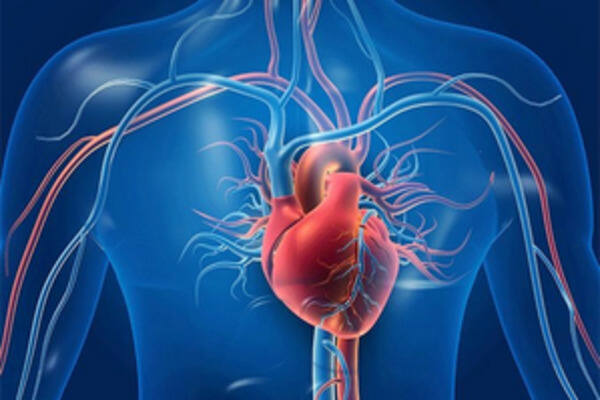 women who experience menopause late may have better heart health study