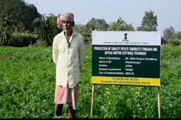 tripura boosts potato cultivation with advanced arc technology to double income of farmers