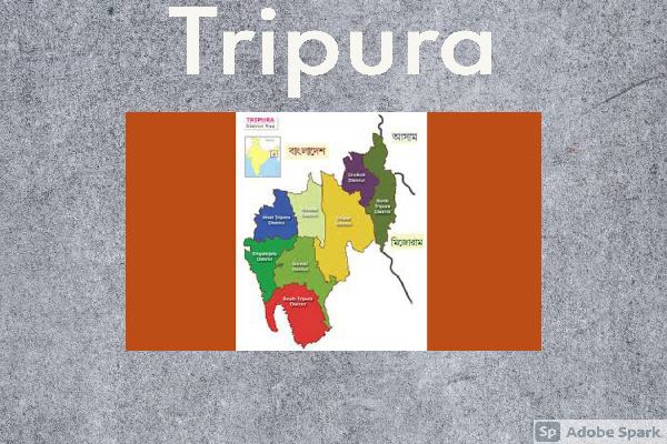 a minor boy in tripura electrocuted in jambo trap