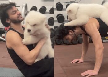 'Sky Force' actor Veer Pahariya on daddy duty for his furry baby