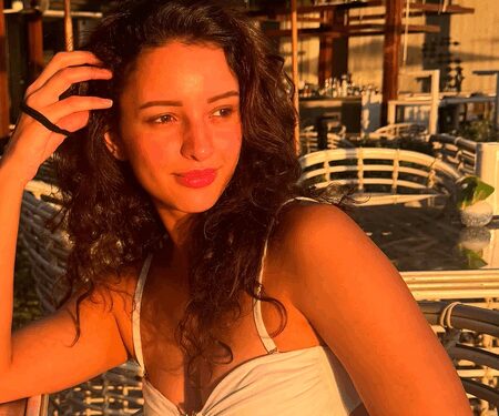 Triptii Dimri raises the temperature with her sunset beach photos