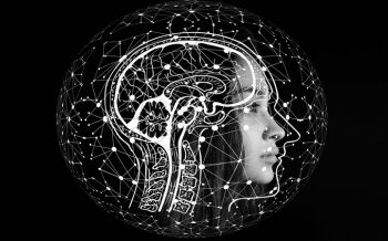 Govt to aid development of India's 1st indigenous thrombectomy device for stroke care