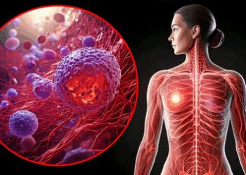 Study finds common antidepressant can shrink tumour growth, fight cancer