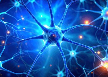 Study shows impact of weight loss drugs on nerve cells in brain