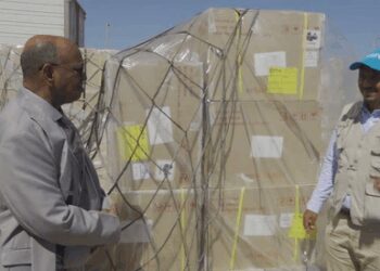 Sudan receives 2.9 million cholera vaccine doses amid surge in cases