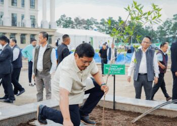 Two crore saplings planted in Meghalaya in five years: CM Conrad Sangma