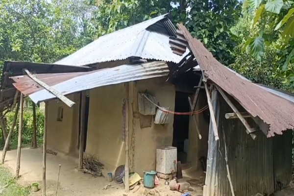 Wild Jumbos, Sleepless Nights in Tripura's Krishnapur