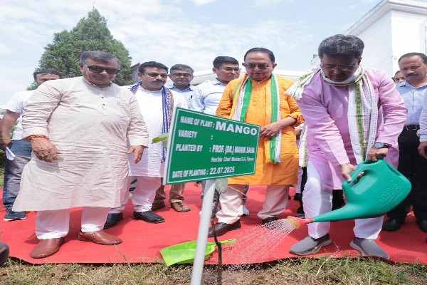 Tree Plantation Symbolizes Interdependence