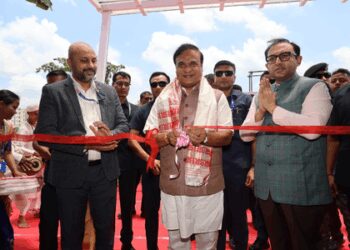 Many pacts signed during Advantage Assam are at various stages of implementation: CM