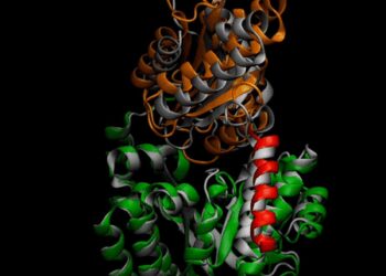 Microsoft’s new AI system to help decode protein motion, advance drug discovery: Satya Nadella