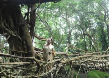 Is Indigenous Knowledge the Missing Piece in Climate Action Strategies?