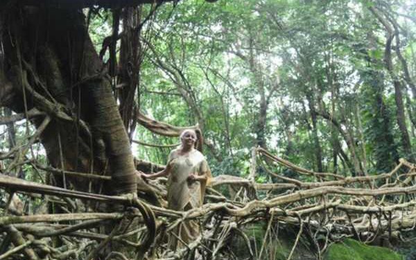 Is Indigenous Knowledge the Missing Piece in Climate Action Strategies?