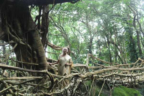 Is Indigenous Knowledge the Missing Piece in Climate Action Strategies?