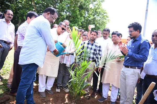 Oil Palm Boom in Tripura: 4,000 Hectares Cultivated, More on the Horizon