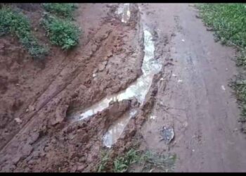 Lack of Basic Amenities: Residents of Suryasen Para in Agartala Voice Frustration