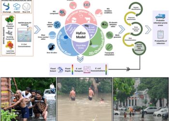 IIT Roorkee's new tool to predict how floods spread disease in cities