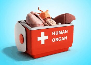 TN woman alleges organ removal, probe ordered