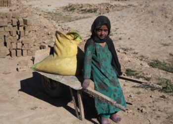 1.3 million children forced to work as labourers in Pakistan's Sindh