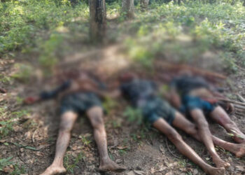 Bangladeshi Cattle Thieves