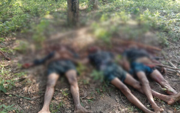 Bangladeshi Cattle Thieves