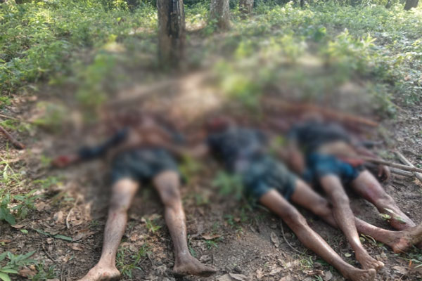 Bangladeshi Cattle Thieves