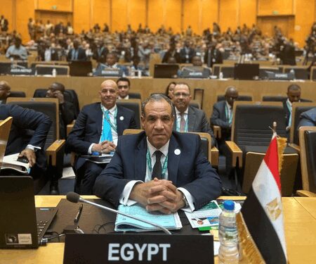 Countries ignored our warning about Muslim Brotherhood, played with fire: Egyptian FM Abdelatty