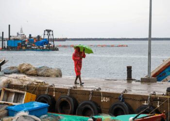 Cyclone Montha impacts Bihar, IMD issues heavy rainfall alert for several districts