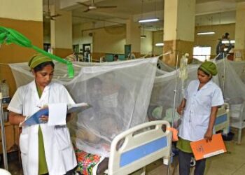 Dengue claims four more lives in Bangladesh, 2025 death toll rises to 259