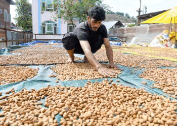 From handicraft to tourism, GST rejig to boost J&K’s economy