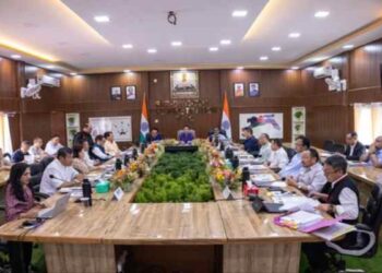 Arunachal hydropower project